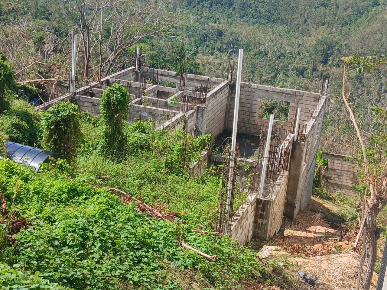 Foundation columns on site